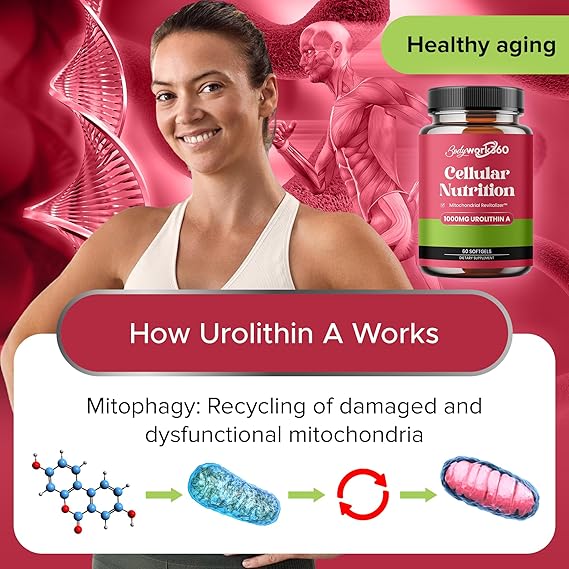 Urolithin A with Mitochondrial Revitalizer™ - Best Known Supplement for Enhancing Healthy-Aging, Muscle Repair, Metabolic Regulation and Cellular Renewal - 60 Softgels