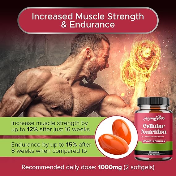 Urolithin A with Mitochondrial Revitalizer™ - Best Known Supplement for Enhancing Healthy-Aging, Muscle Repair, Metabolic Regulation and Cellular Renewal - 60 Softgels